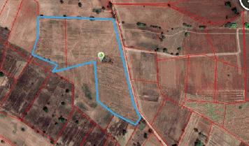 ขายด่วน!! ที่ดินด่านขุนทด บ้านหนองปรือ 41 ไร่ 4 งาน 19 ตร.ว. ต่อรองได้ โทร. 089-465-9994